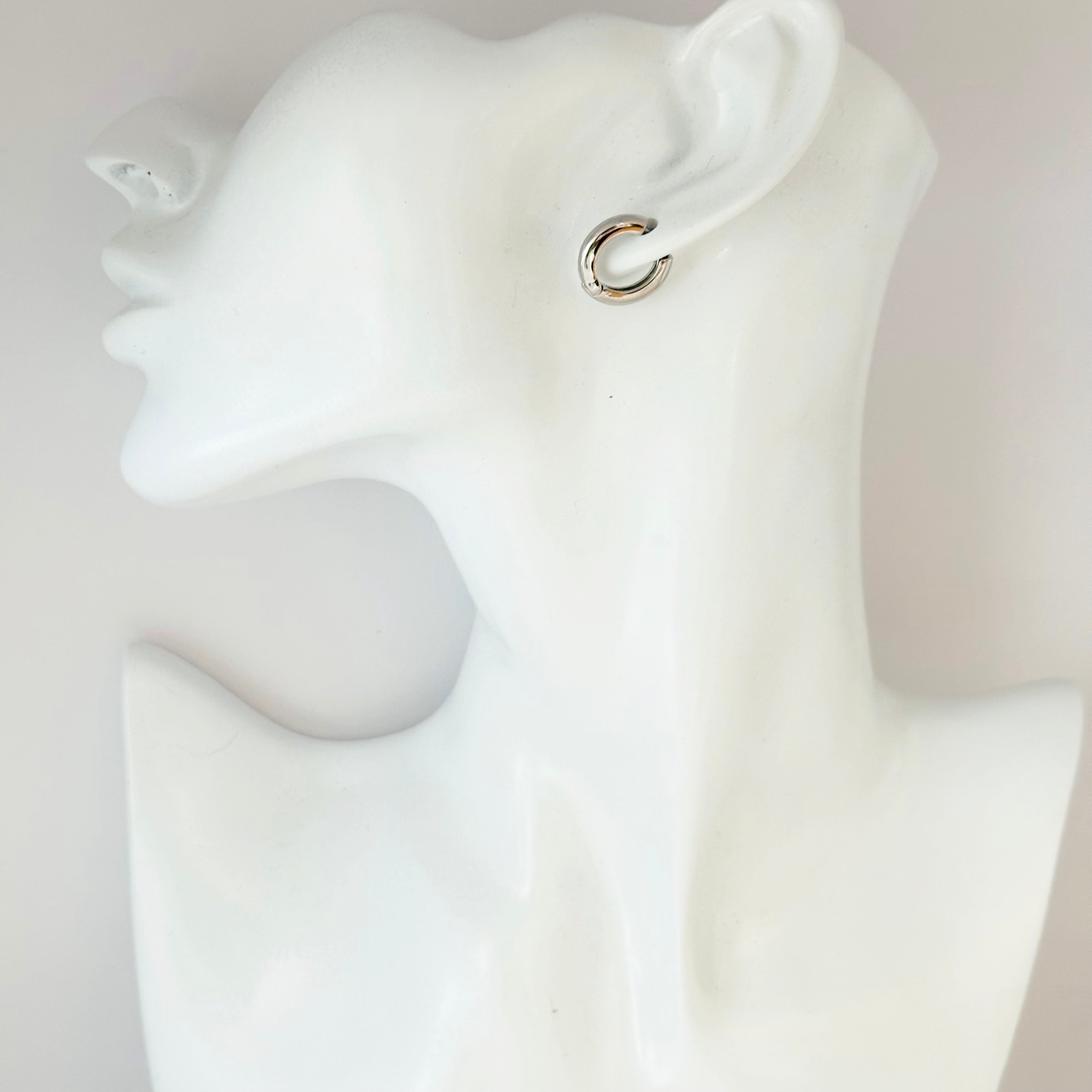 Vitalia Hoop Earrings