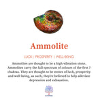 Olivenorma Natural Ammolite 925 Silver Necklace