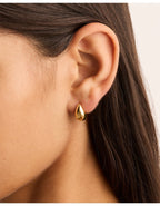 Gold Mato Drop Earrings