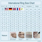 Minimalist Detachable Ring with Zirconia Inlays