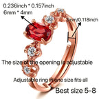 S925 Sterling Silver Garnet Inlaid Women's Ring