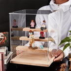 11pcs Acrylic Display Boxed with Wood, Clear, Jewelry Making