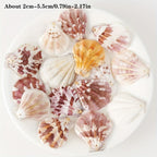 10pcs Natural Shell Charms for DIY Jewelry Making Crafting Supplies
