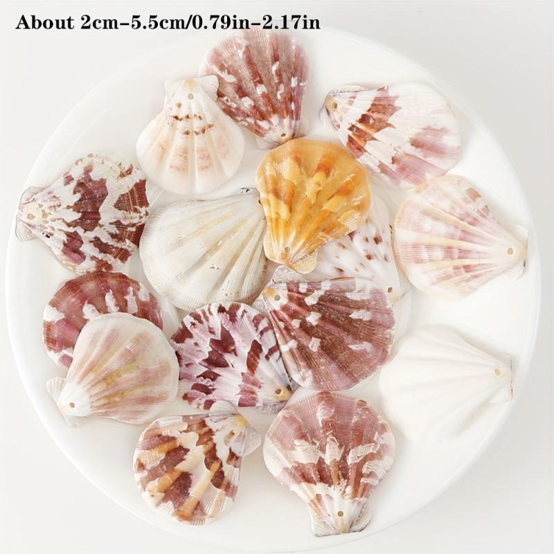 10pcs Natural Shell Charms for DIY Jewelry Making Crafting Supplies