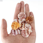 10pcs Natural Shell Charms for DIY Jewelry Making Crafting Supplies