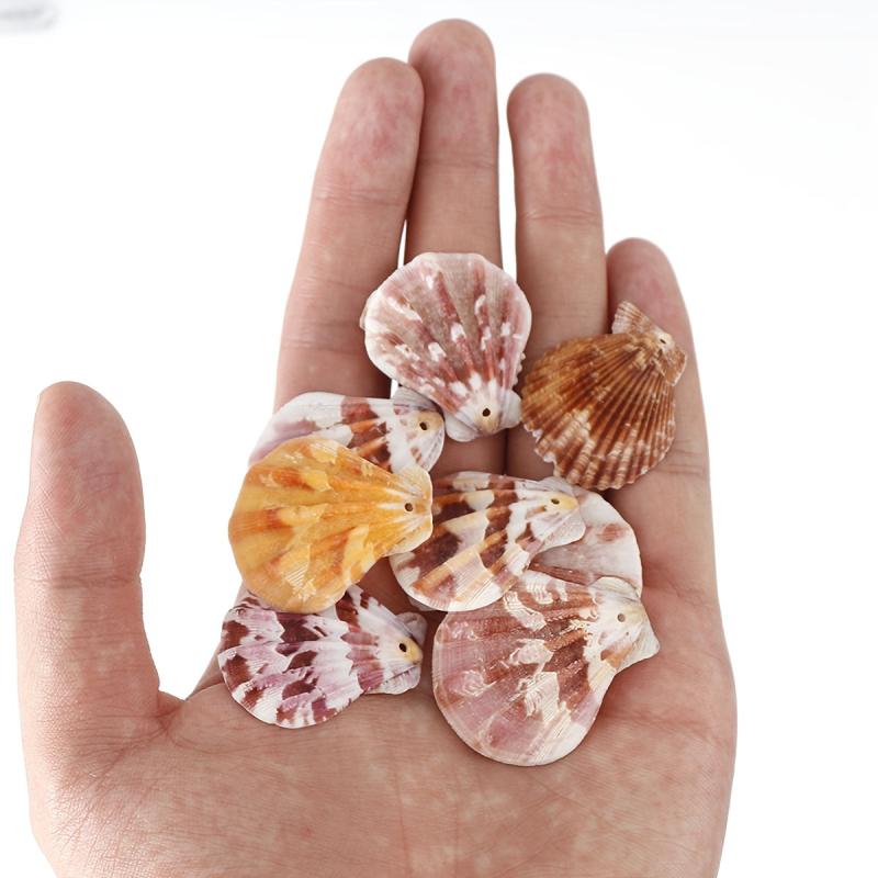 10pcs Natural Shell Charms for DIY Jewelry Making Crafting Supplies