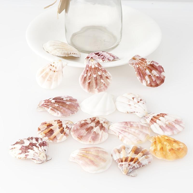 10pcs Natural Shell Charms for DIY Jewelry Making Crafting Supplies