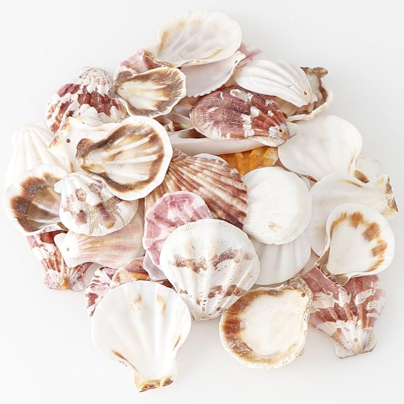 10pcs Natural Shell Charms for DIY Jewelry Making Crafting Supplies