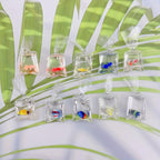 10pcs Resin Fish Pendants Marine Life Charms for DIY Crafts