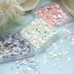 Aurora Seashell Slices Epoxy Resin Filler 3g for Crafts & Jewelry