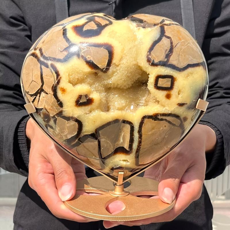 Septarium High Turtle Back Stone Heart Polished Septarium Heart