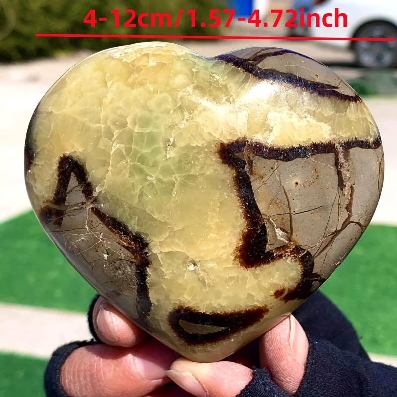 Septarium High Turtle Back Stone Heart Polished Septarium Heart