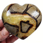 Septarium High Turtle Back Stone Heart Polished Septarium Heart