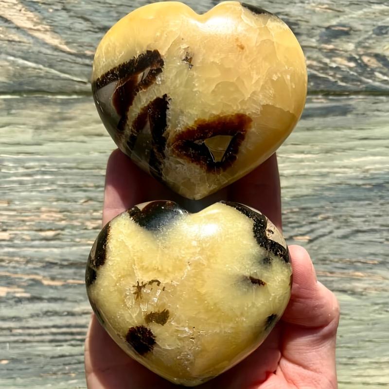 Septarium High Turtle Back Stone Heart Polished Septarium Heart