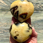 Septarium High Turtle Back Stone Heart Polished Septarium Heart