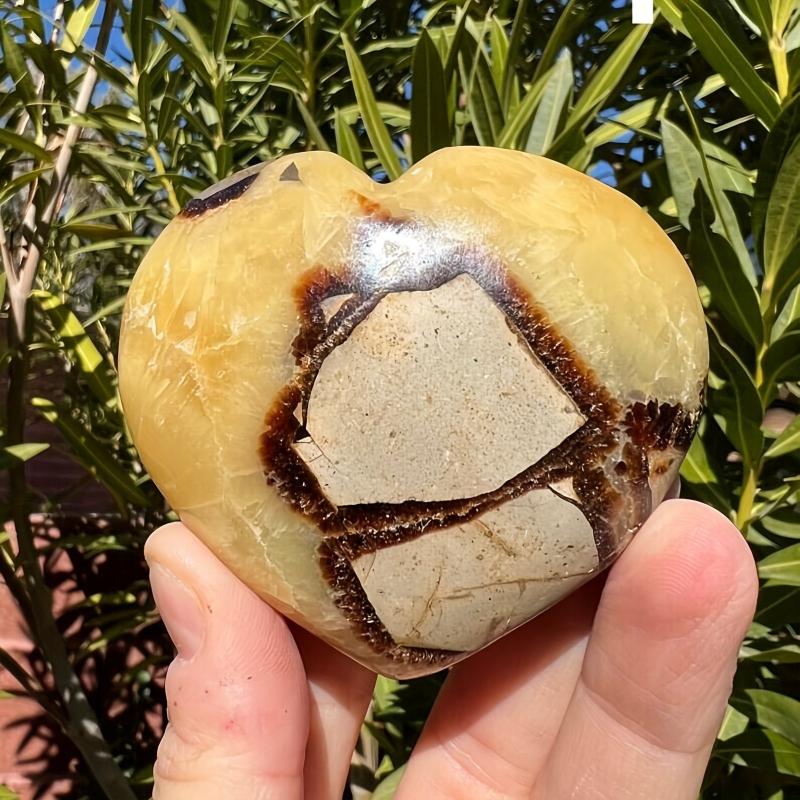 Septarium High Turtle Back Stone Heart Polished Septarium Heart