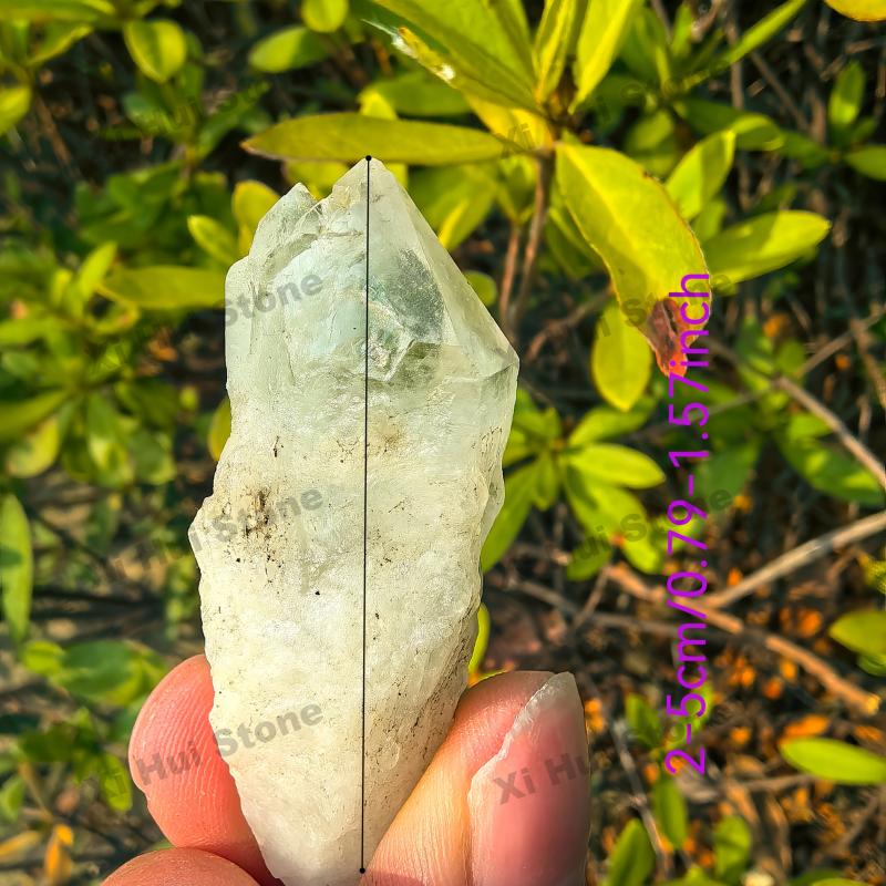 Natural Clear Quartz Crystal Teeth Raw Unpolished DIY Gemstones