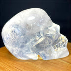 Natural Clear Quartz Crystal Skull 4.98-5 Bohemian Style Hand Picked Unique