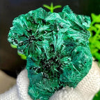 Natural Malachite Mineral Specimen Deep Green with Veins Display