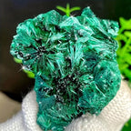 Natural Malachite Mineral Specimen Deep Green with Veins Display