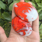 Fire Agate Palm Home Decor Desk Relax for Photoing