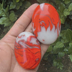 Fire Agate Palm Home Decor Desk Relax for Photoing