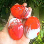 Fire Agate Palm Home Decor Desk Relax for Photoing