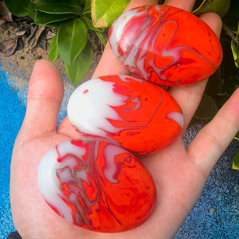 Fire Agate Palm Home Decor Desk Relax for Photoing