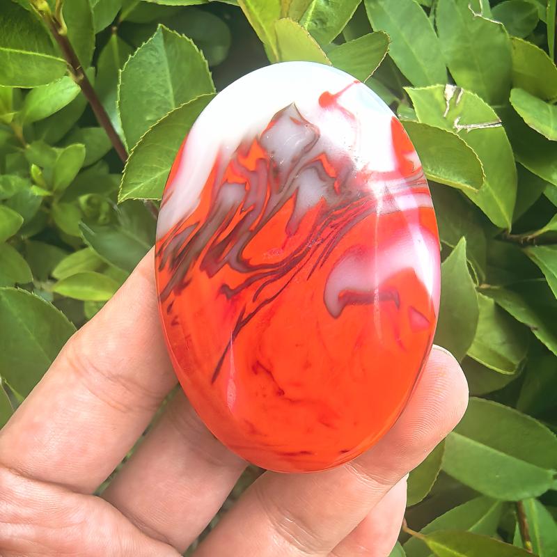 Fire Agate Palm Home Decor Desk Relax for Photoing