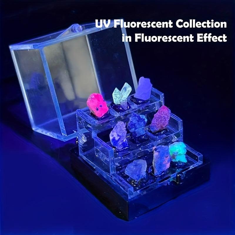 Crystal Raw Stone Ore Boxes Mineral Specimen Collection Display