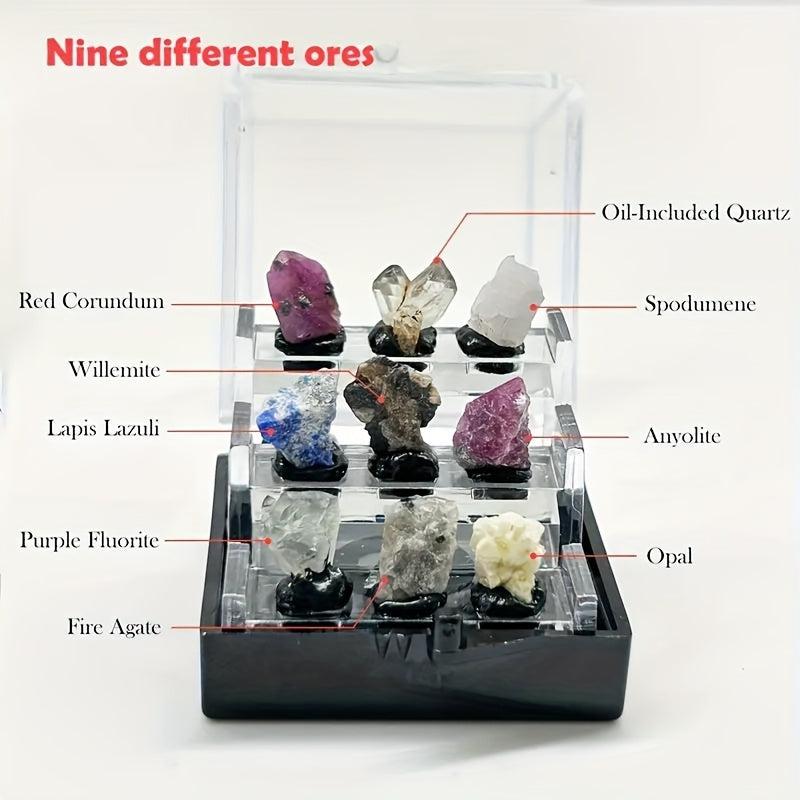 Crystal Raw Stone Ore Boxes Mineral Specimen Collection Display