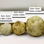 3pcs Unopened Natural Agate Geode Egg DIY Rock Crystal Specimen