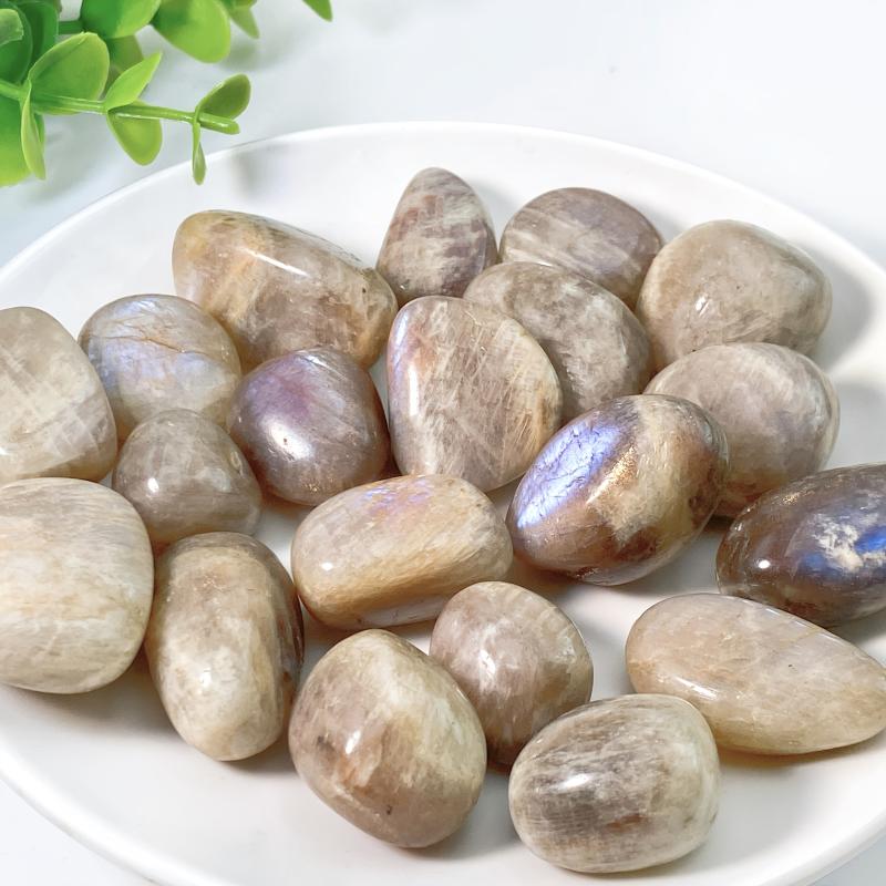 5pcs Moon and Sun Moonstone Tumbled Stones 10-30mm for DIY Home Decoration
