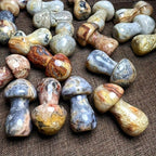 Natural Agate Mushroom Geode Crystal Cave Striped Multicolor Mar