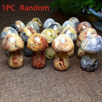 Natural Agate Mushroom Geode Crystal Cave Striped Multicolor Mar