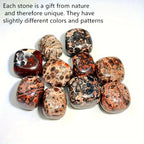 Leopard Stone Tumbled Stones - Faux Gemstones for Planters, Jewelry