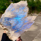 Moonstone Crystal Slice Flashy Rainbow Iridescence Oval Meditation Stone