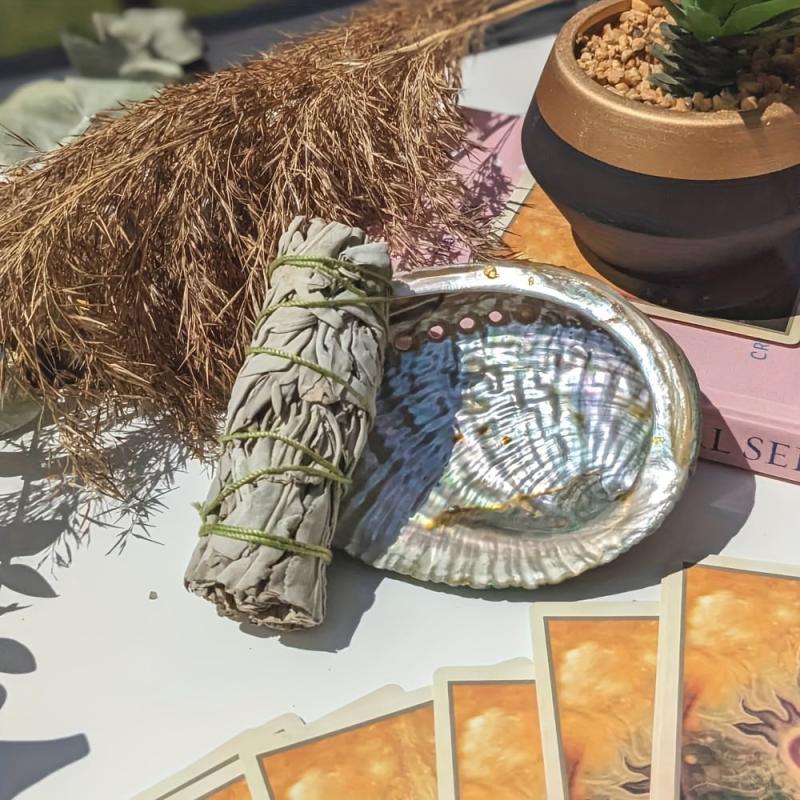 Large Abalone Shell for DIY Jewelry & Home Decor