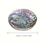 Large Abalone Shell for DIY Jewelry & Home Decor