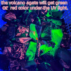 Bohemian Style UV Reactive Agate Palm Specimen