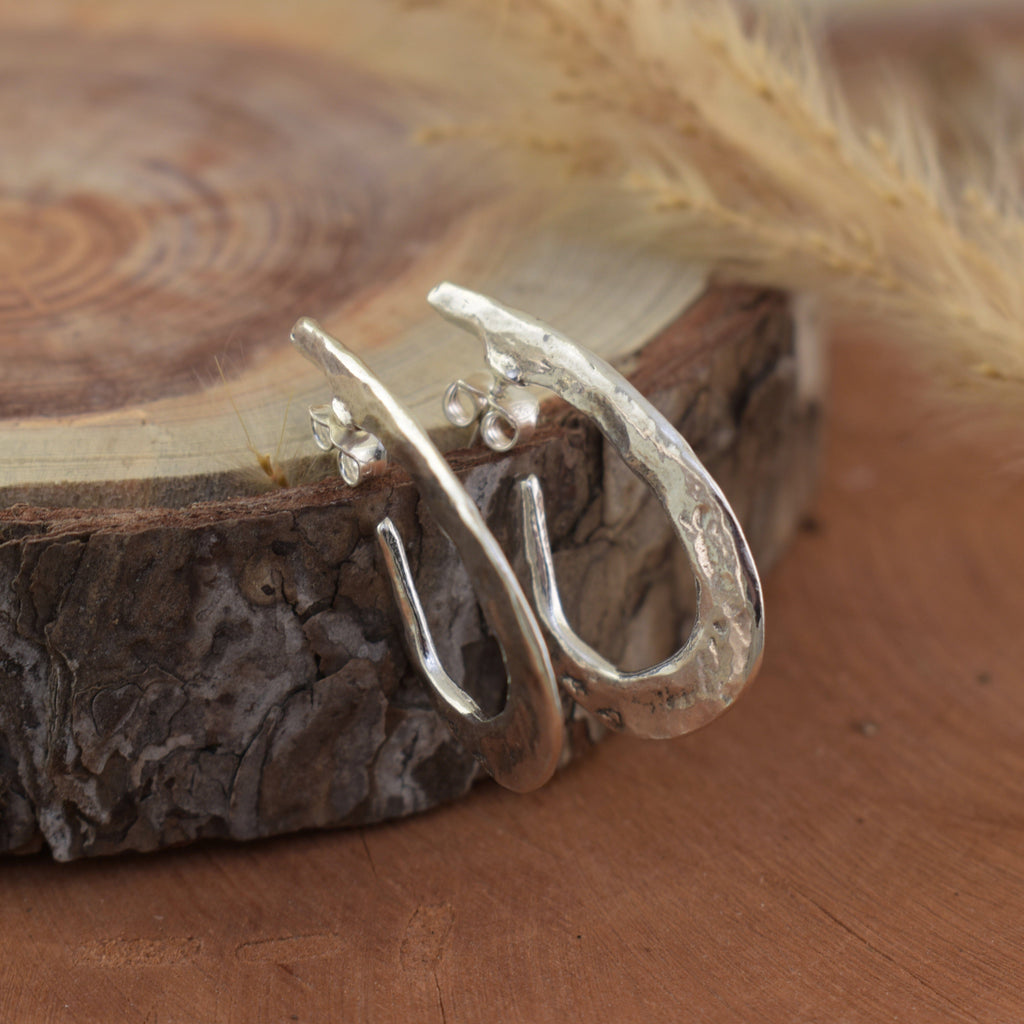 Curve Appeal Earrings