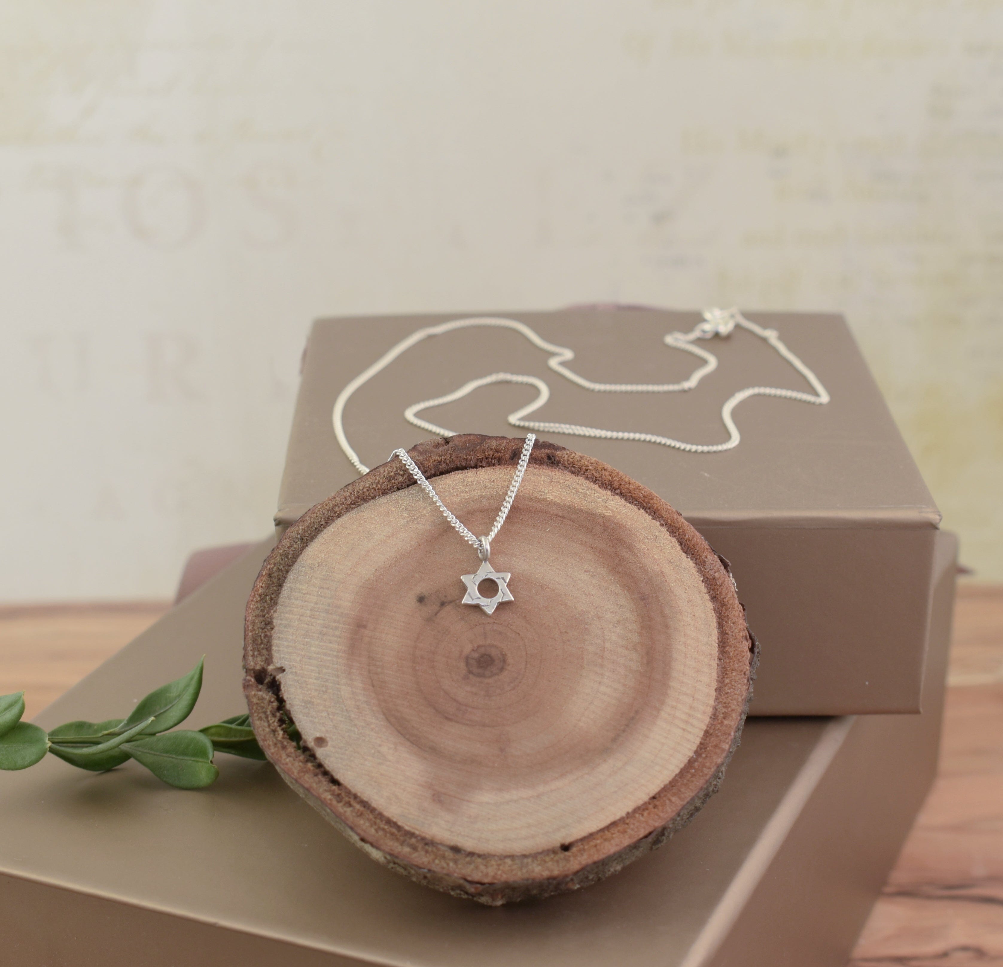 Lit'l Star of David Necklace