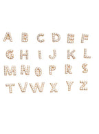 Initial Earring 1pc | White Gold