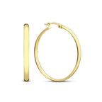 Noa Serane Gold Earrings