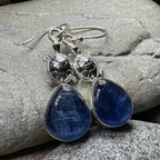 Friendly Turtle Earrings