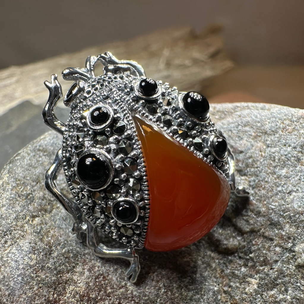 Lucky Ladybug Brooch