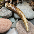 Stag Antler Kilt Pin