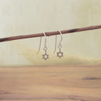 Lit'l Star of David Earrings