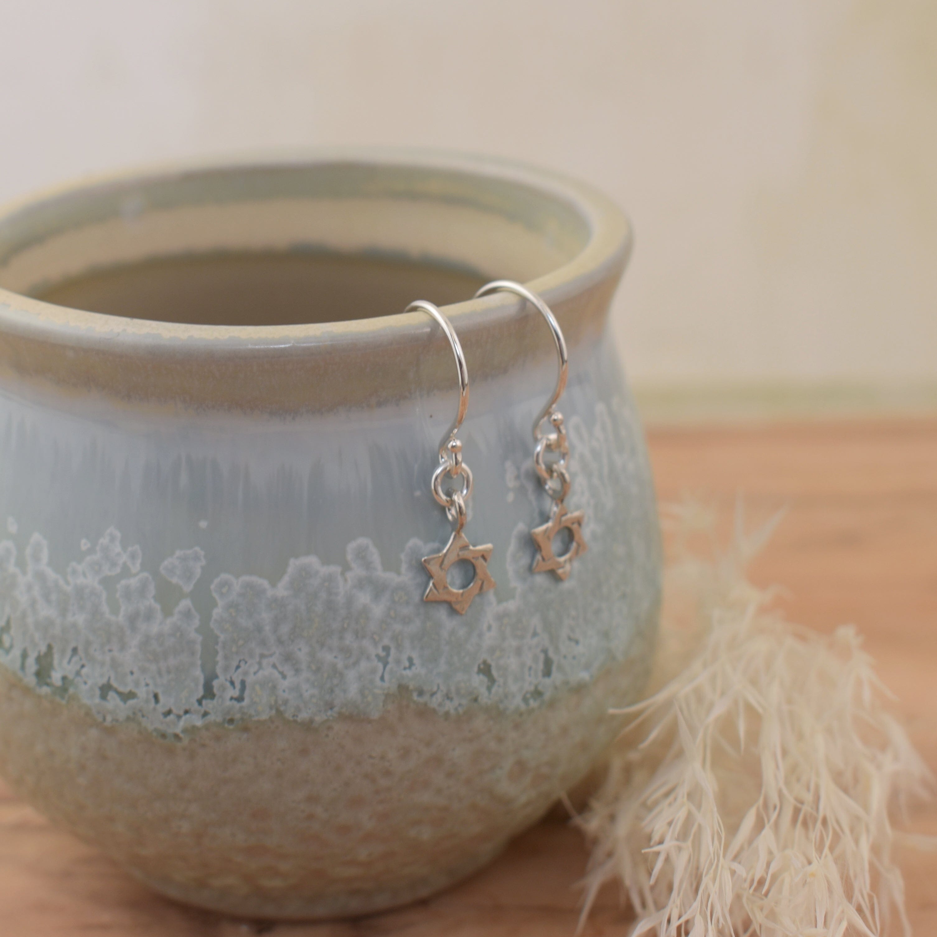 Lit'l Star of David Earrings