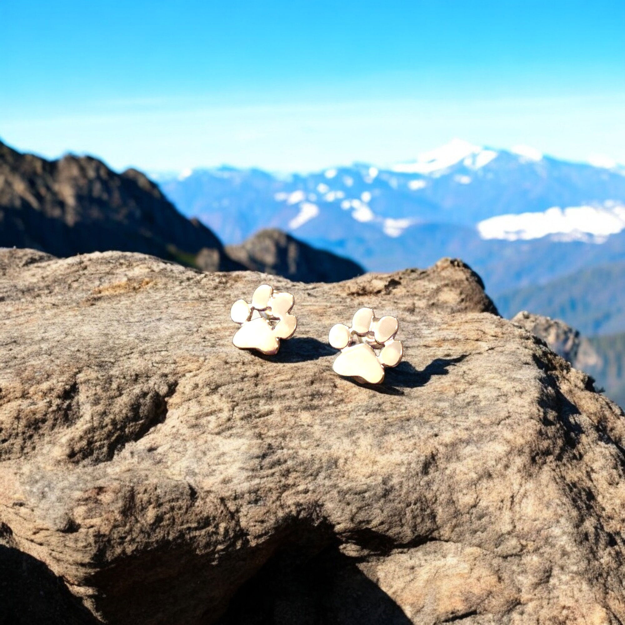 Hypoallergenic Paw Silver Earrings